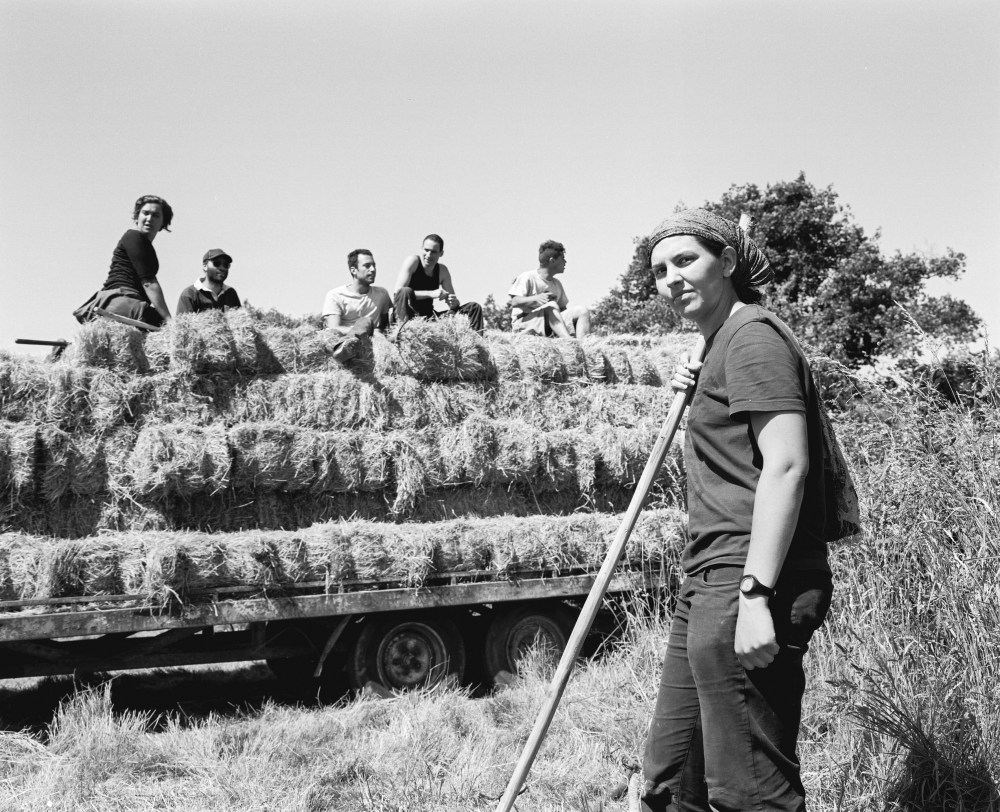 Havesting the commons